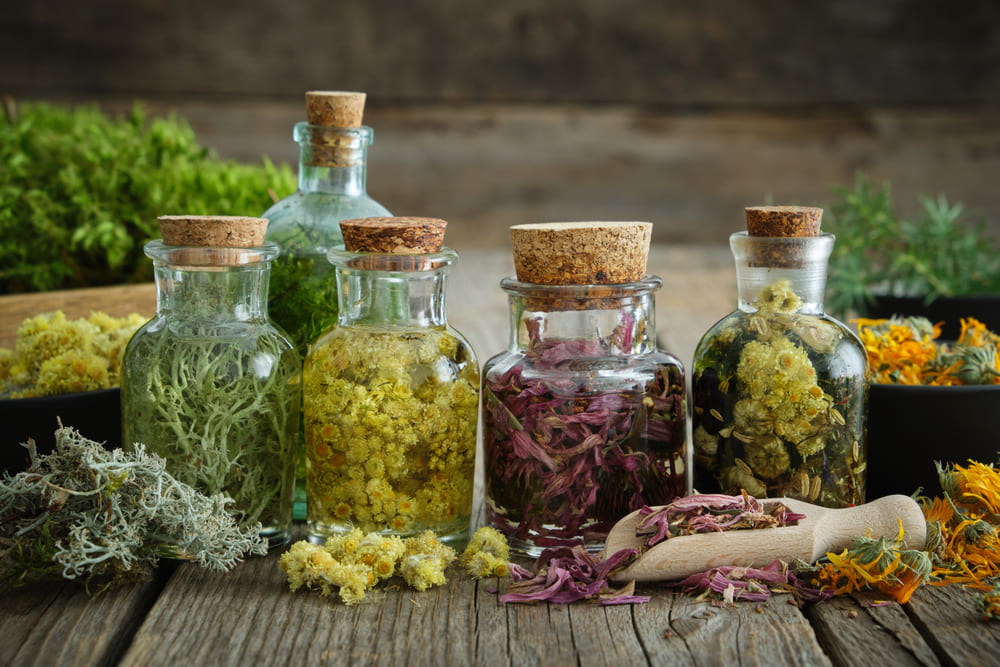 Plantas medicinales, una alternativa seria